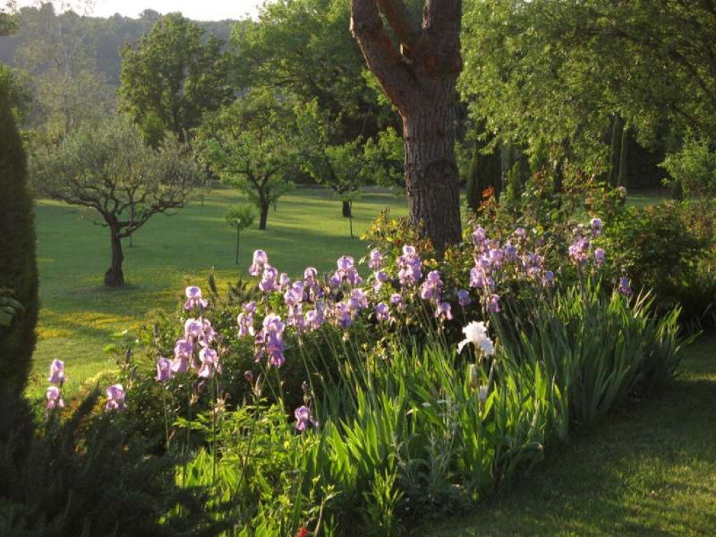 Domaine à Grignan, Auvergne-Rhône-Alpes, France 5 - 16247221