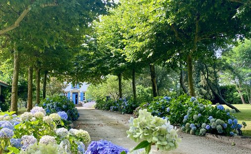 Castle for Sale in Saint-Sever, Nouvelle-Aquitaine, France