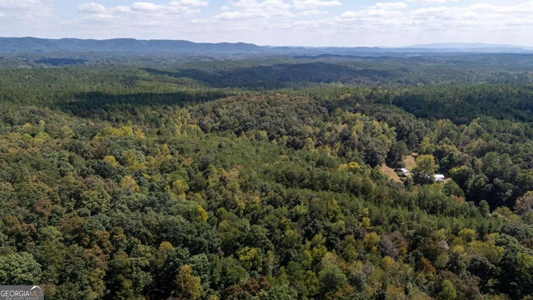 Farm Ranch in Ranger, Georgia, United States 5 - 16241755