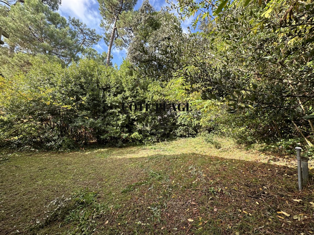 House in Saint-Palais-sur-Mer, Nouvelle-Aquitaine, France 4 - 16248470