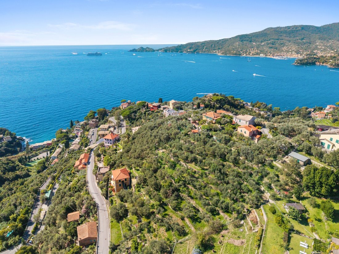 House in Zoagli, Liguria, Italy 4 - 16253101