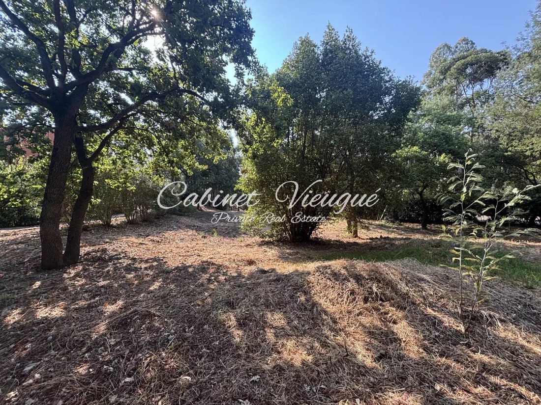 Land in Grimaud, Provence-Alpes-Côte d'Azur, Frankreich 2 - 16246662