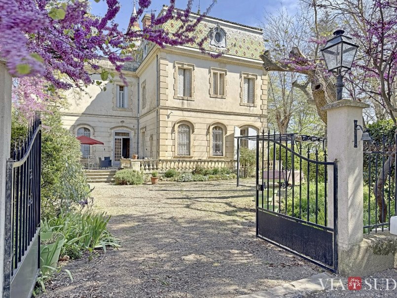Estate in Puisserguier, Occitania, France 4 - 16245688
