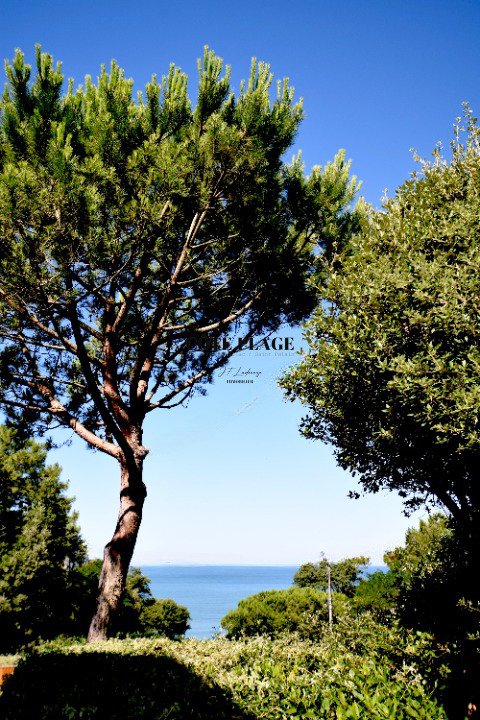 House in Saint-Palais-sur-Mer, Nouvelle-Aquitaine, France 2 - 16248220