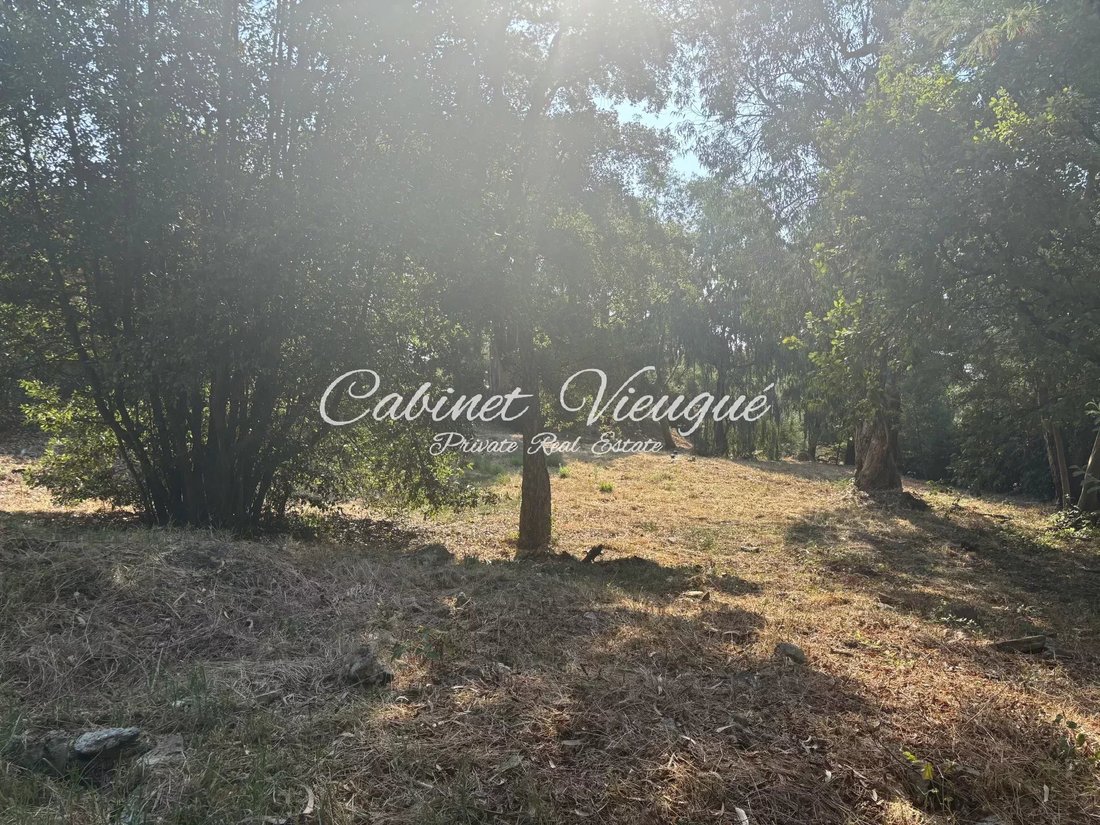Land in Grimaud, Provence-Alpes-Côte d'Azur, Frankreich 3 - 16246662