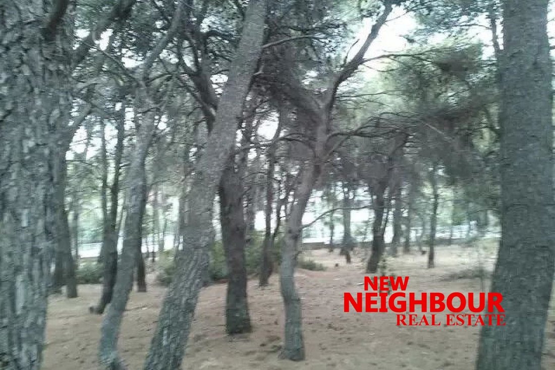 Land in Acharnes, Attica, Greece 4 - 16252318