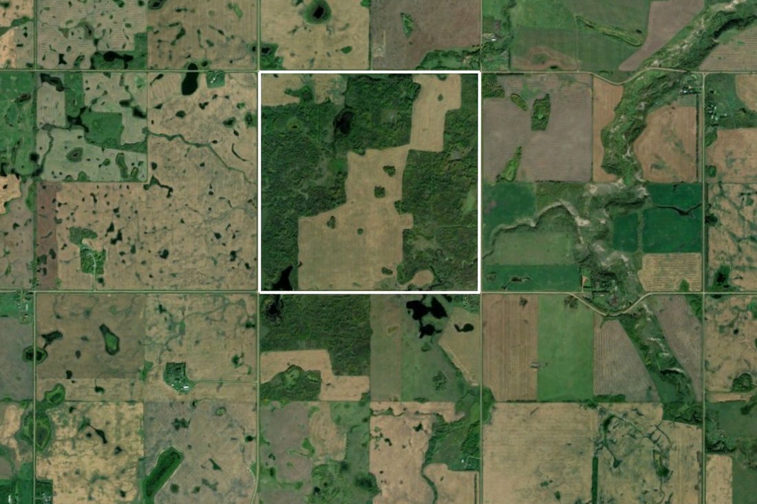 Azienda agricola a Meeting Creek, Alberta, Canada 4 - 16252634