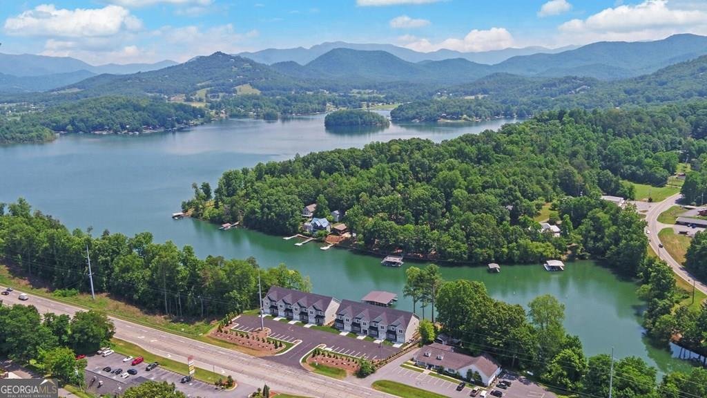 Townhouse in Hiawassee, Georgia, United States 2 - 16243970