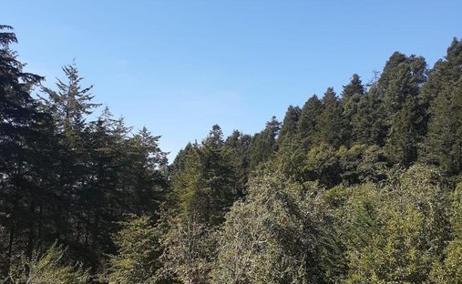Land in Mineral del Chico, Hidalgo, Mexiko 1