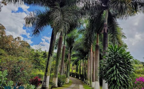 Finca in Girardota, Antioquia, Colombia 1