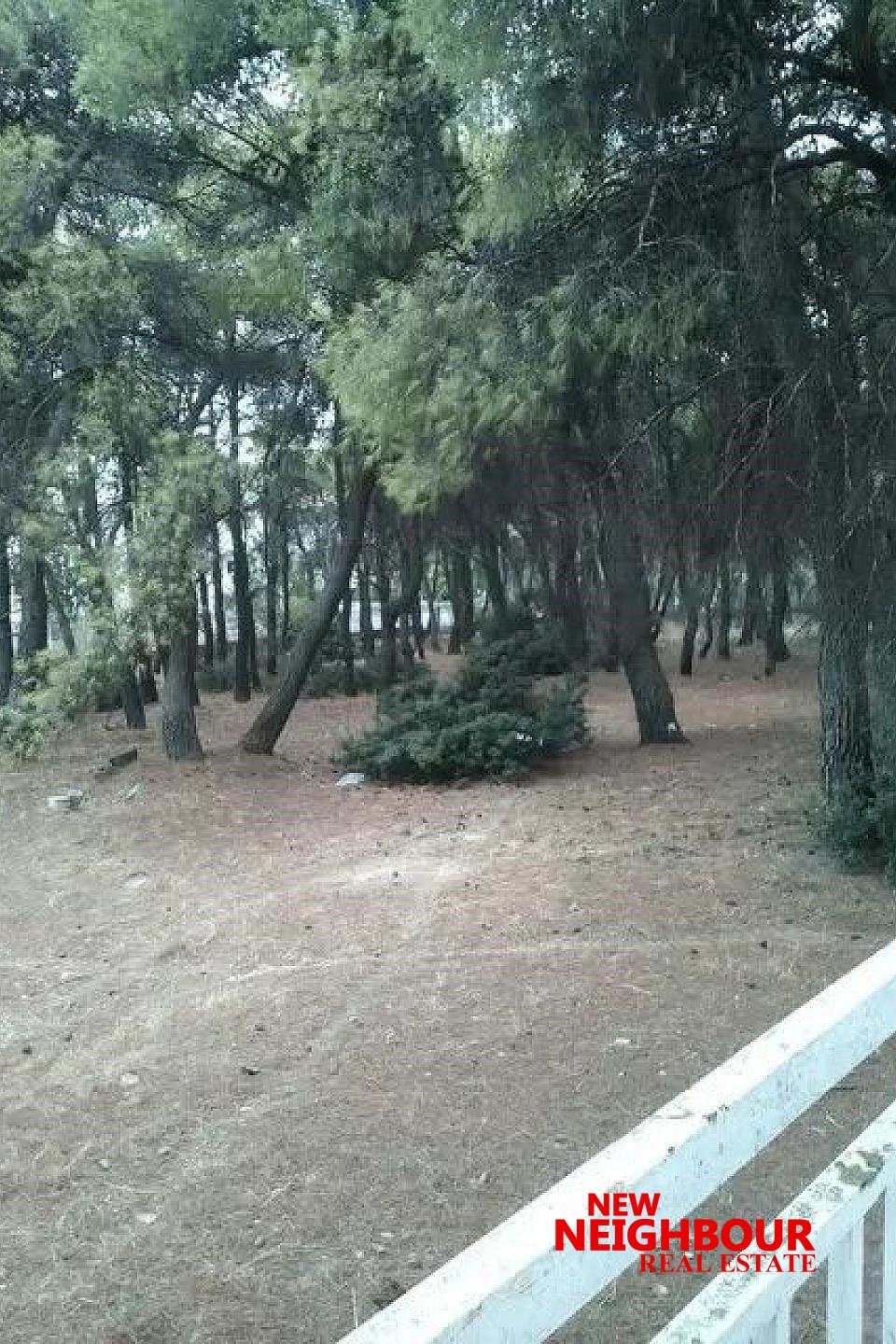 Land in Acharnes, Attica, Greece 1 - 16252318