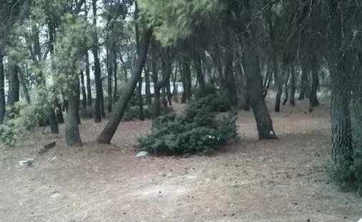 Terreno a Acarne, Attica, Grecia 1