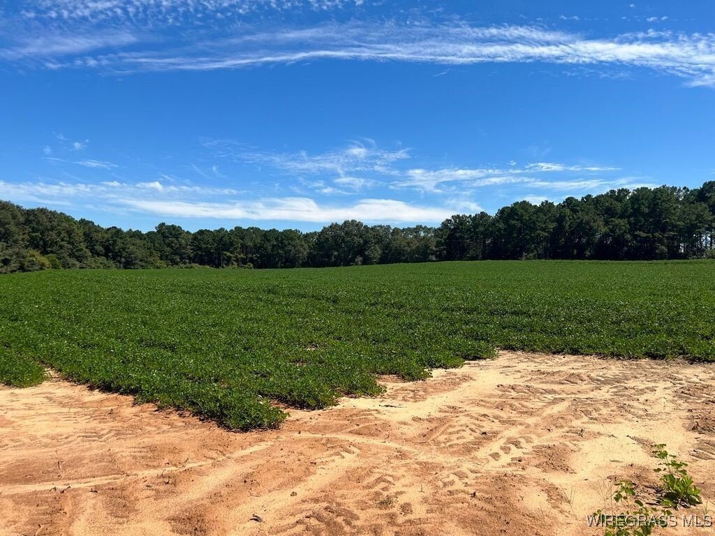 Land in Enterprise, Alabama, United States 3 - 16246232