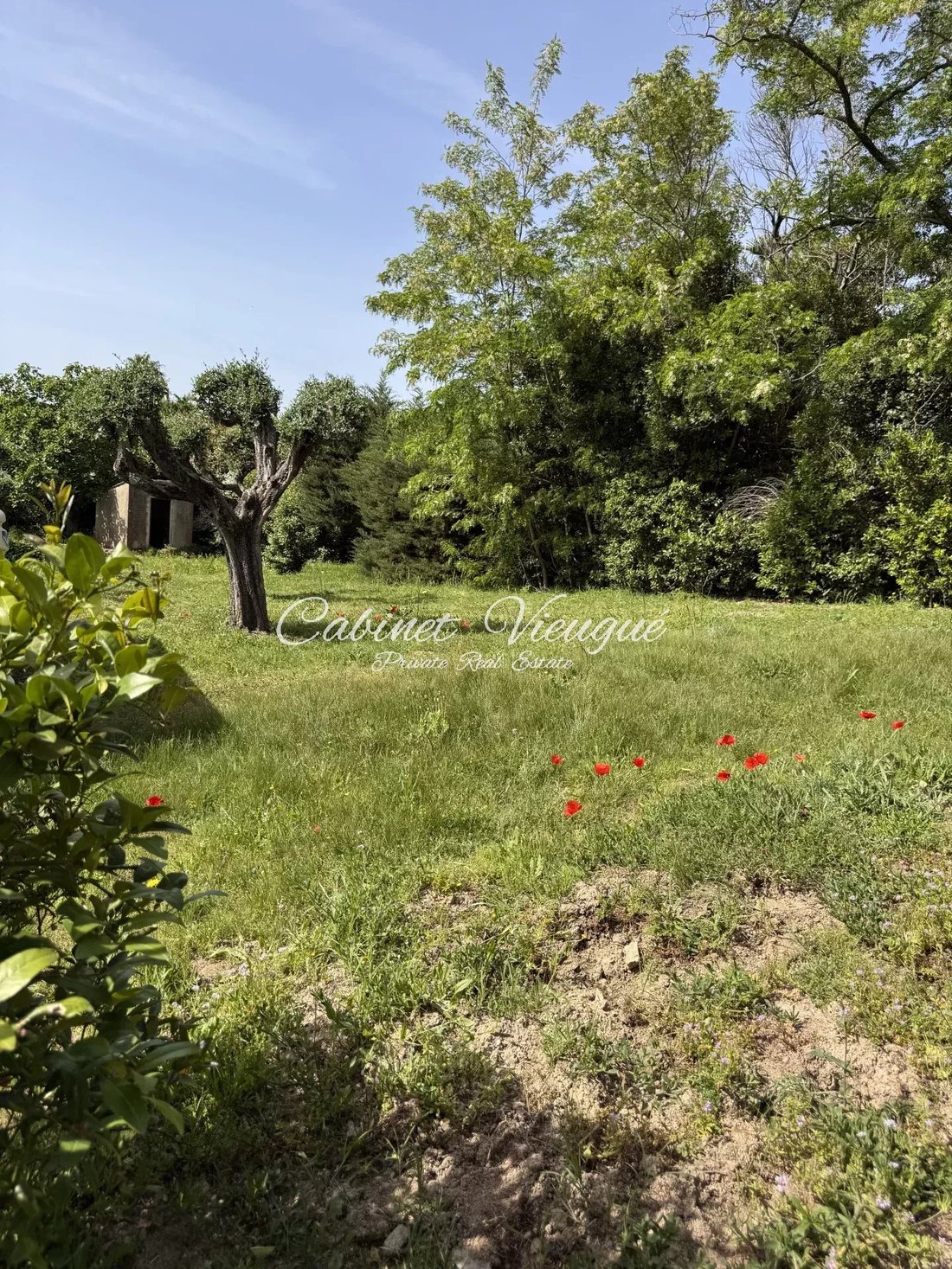 Land in Grimaud, Provence-Alpes-Côte d'Azur, France 4 - 16246109