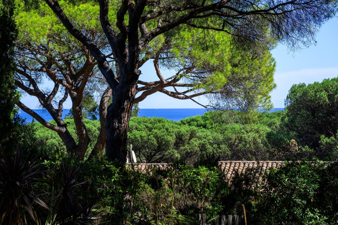 House in Ramatuelle, Provence-Alpes-Côte d'Azur, France 4 - 16252624
