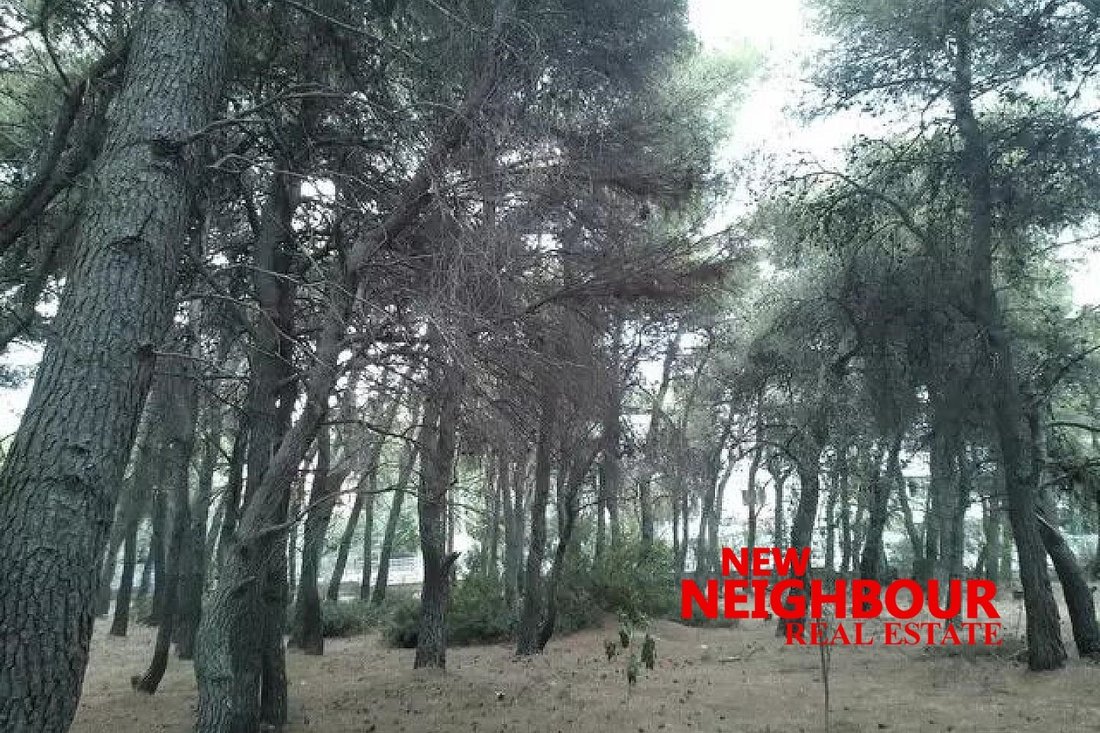 Land in Acharnes, Attica, Greece 5 - 16252318