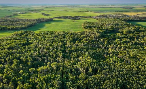Farm Ranch in Meeting Creek, Alberta, Kanada 1
