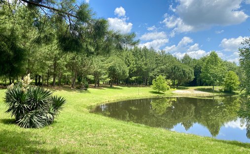 Castle for Sale in Saint-Sever, Nouvelle-Aquitaine, France