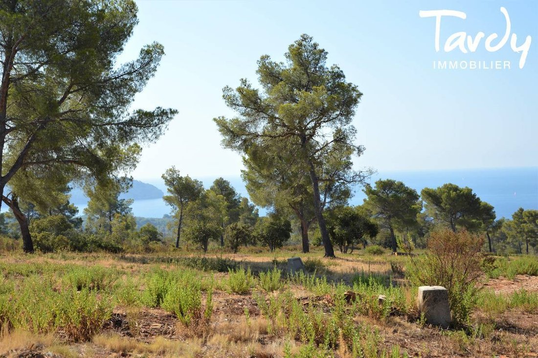 Estate in La Ciotat, Provence-Alpes-Côte d'Azur, France 4 - 16248323