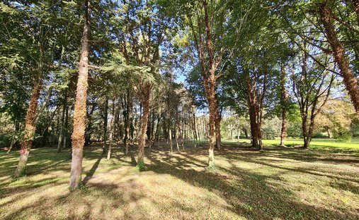 Castle for Sale in Saint-Sever, Nouvelle-Aquitaine, France