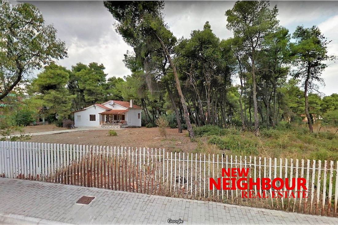 Land in Dionysos, Attica, Greece 3 - 16252061