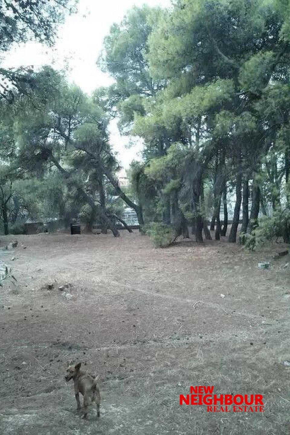 Land in Acharnes, Attica, Greece 3 - 16252318