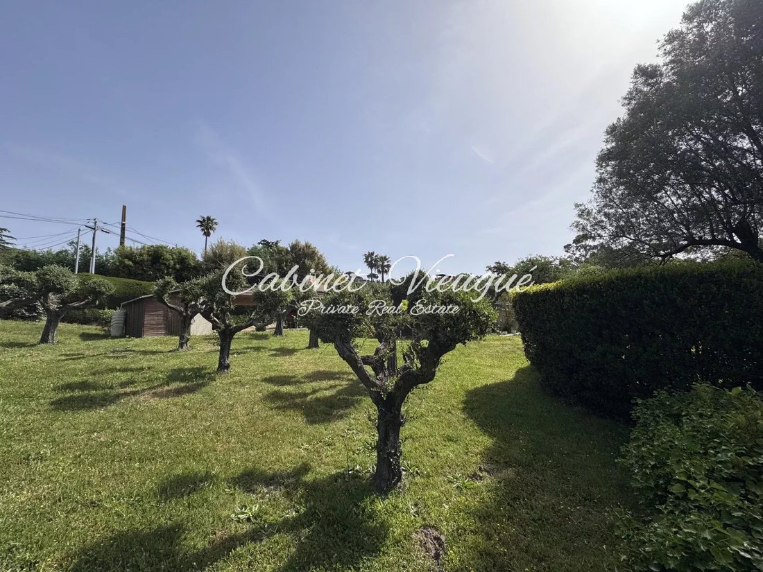 Land in Grimaud, Provence-Alpes-Côte d'Azur, France 1 - 16246109