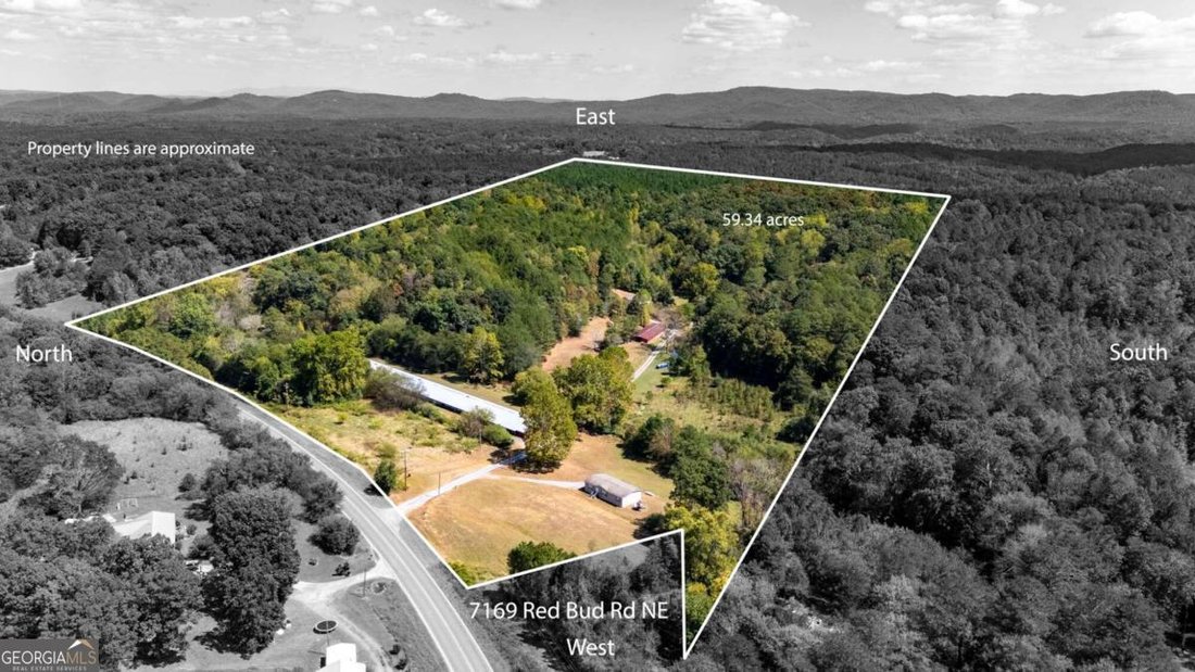 Farm Ranch in Ranger, Georgia, United States 2 - 16241755