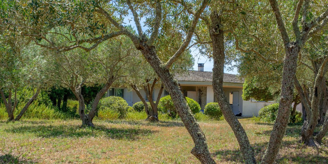 Villa in Bonifacio / Bunifaziu, Corsica, France 4 - 16246978
