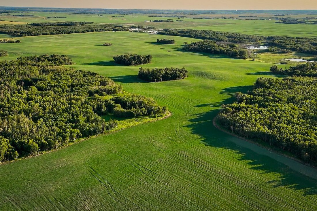 Azienda agricola a Meeting Creek, Alberta, Canada 2 - 16252634