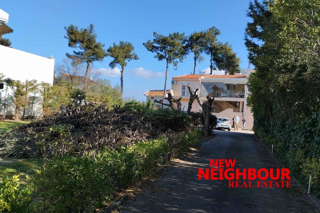 Land in Dionysos, Attica, Greece 2 - 16252326