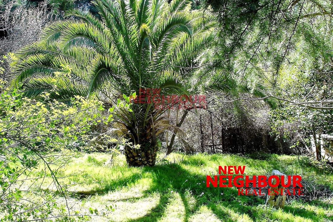 Land in Dionysos, Attica, Greece 4 - 16252378