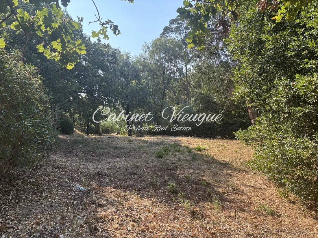 Land in Grimaud, Provence-Alpes-Côte d'Azur, Frankreich 1 - 16246662