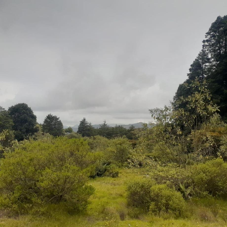 Land in Mineral del Chico, Hidalgo, Mexico 3 - 16249959