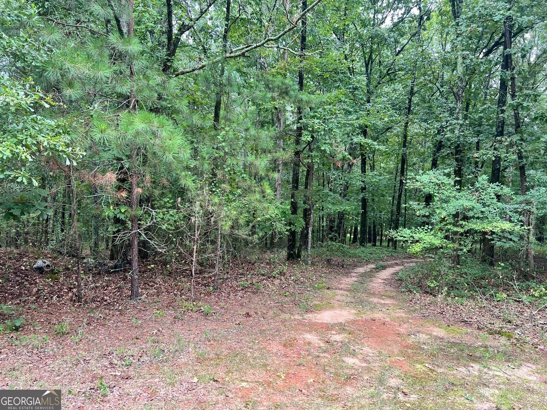House in Winder, Georgia, United States 4 - 16245231