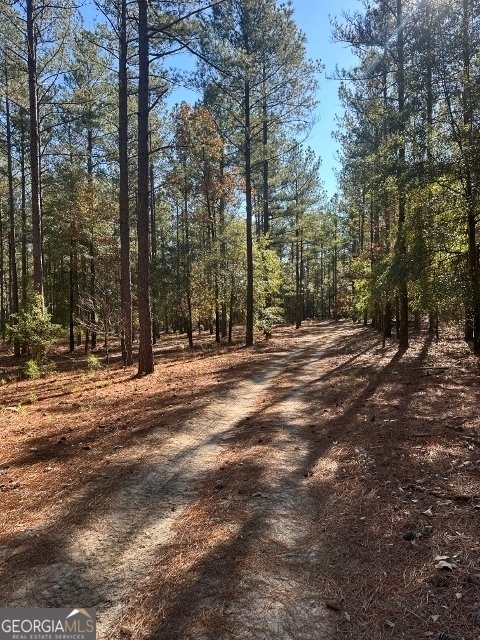 Land in Mitchell, Georgia, United States 3 - 16245010