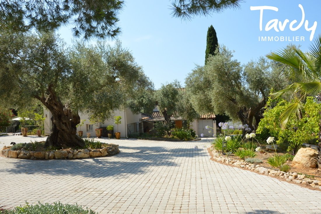 Villa in Nord, Sanary-sur-Mer, France 5 - 16249382