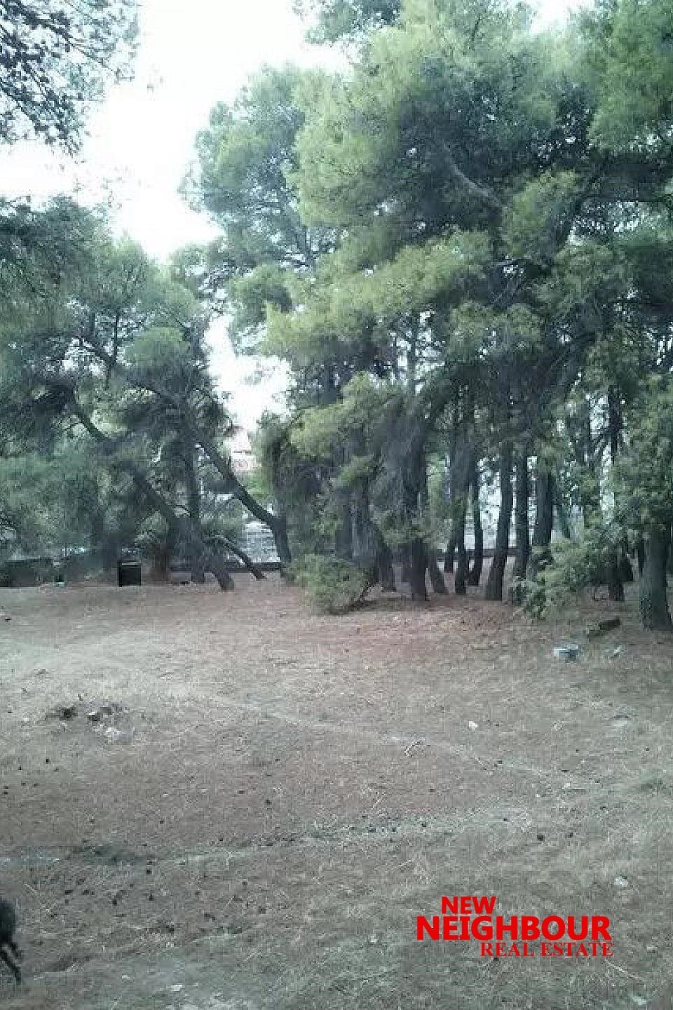 Land in Acharnes, Attica, Greece 2 - 16252318