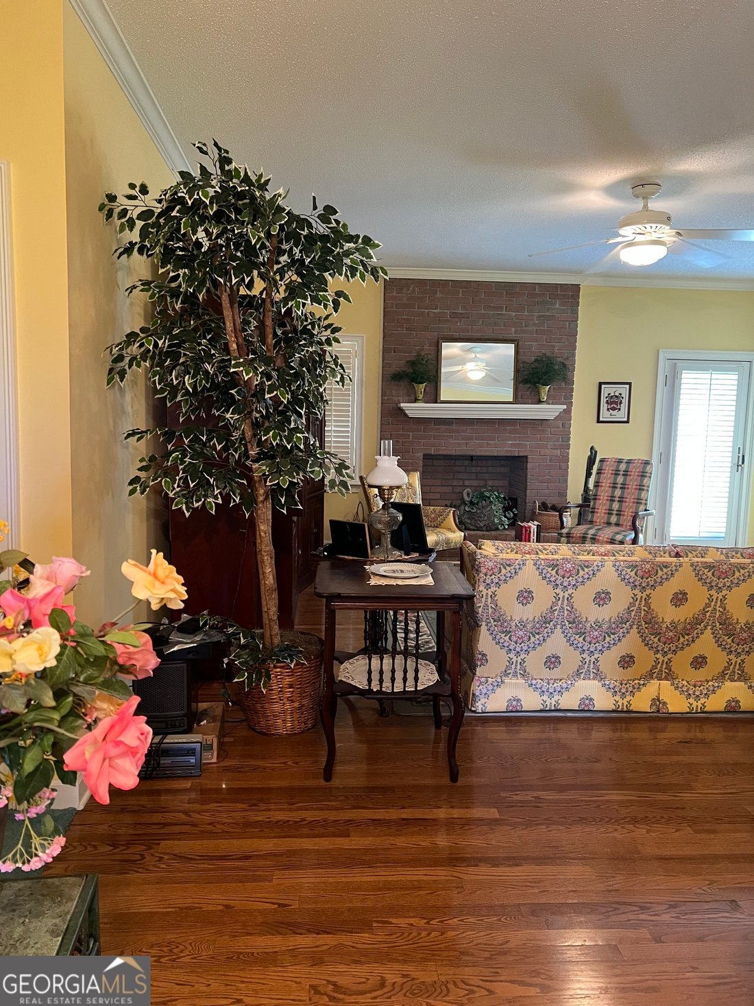 Farm Ranch in Chester, Georgia, United States 5 - 16242869