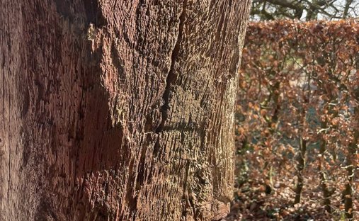 Castle for Sale in Mesnil-Panneville, Normandy, France