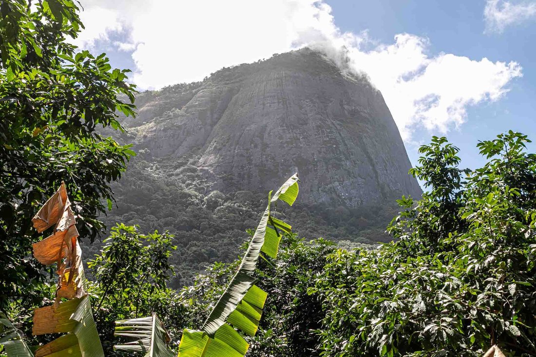 House in Rio de Janeiro, State of Rio de Janeiro, Brazil 3 - 16250121