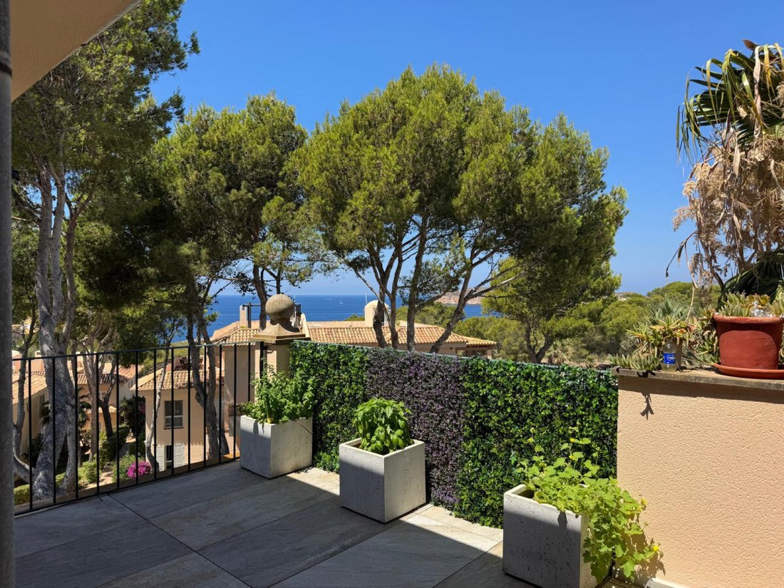 Apartment in Santa Ponsa, Balearic Islands, Spain 2 - 16250954