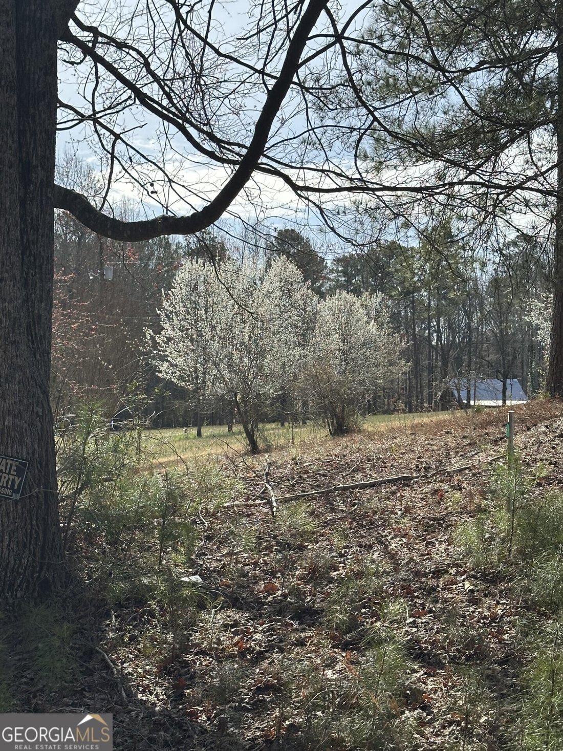 House in Flowery Branch, Georgia, United States 5 - 16243713