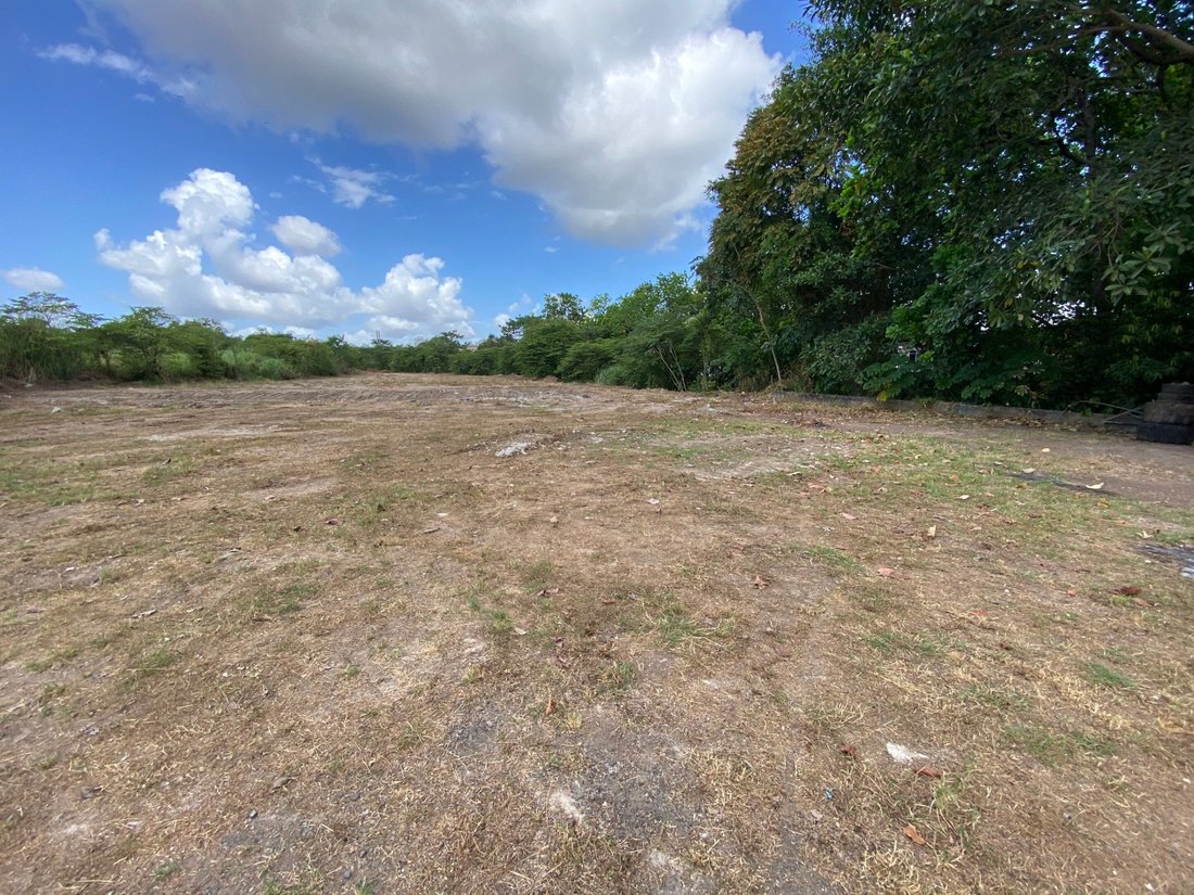Land in San Miguelito, Coclé Province, Panama 5 - 16251304