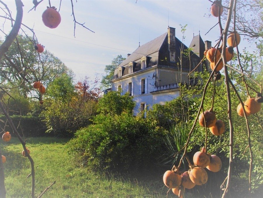 Château des Rêves: A 19th-Century Jewel on the Dordogne’s Edge