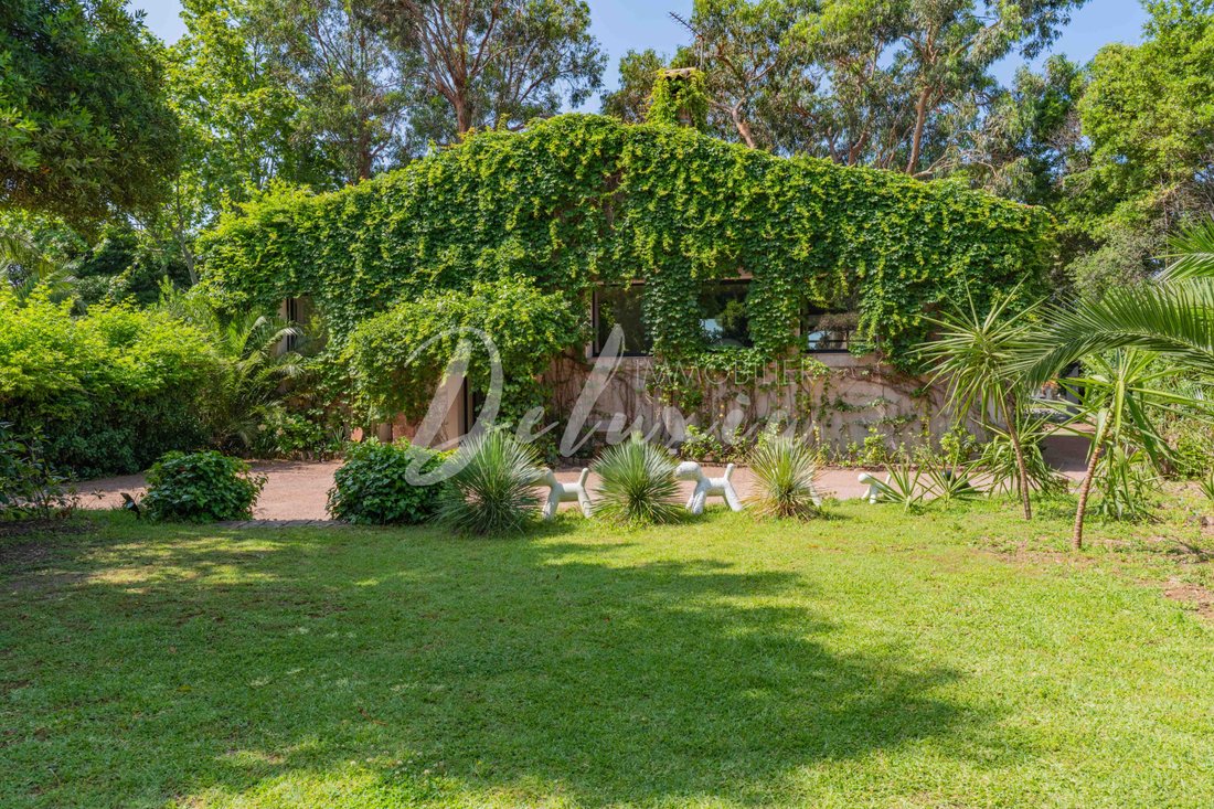 Estate in Le Dramont-Agay-Anthéor-Le Trayas, Saint-Raphaël, France 2 - 16248462