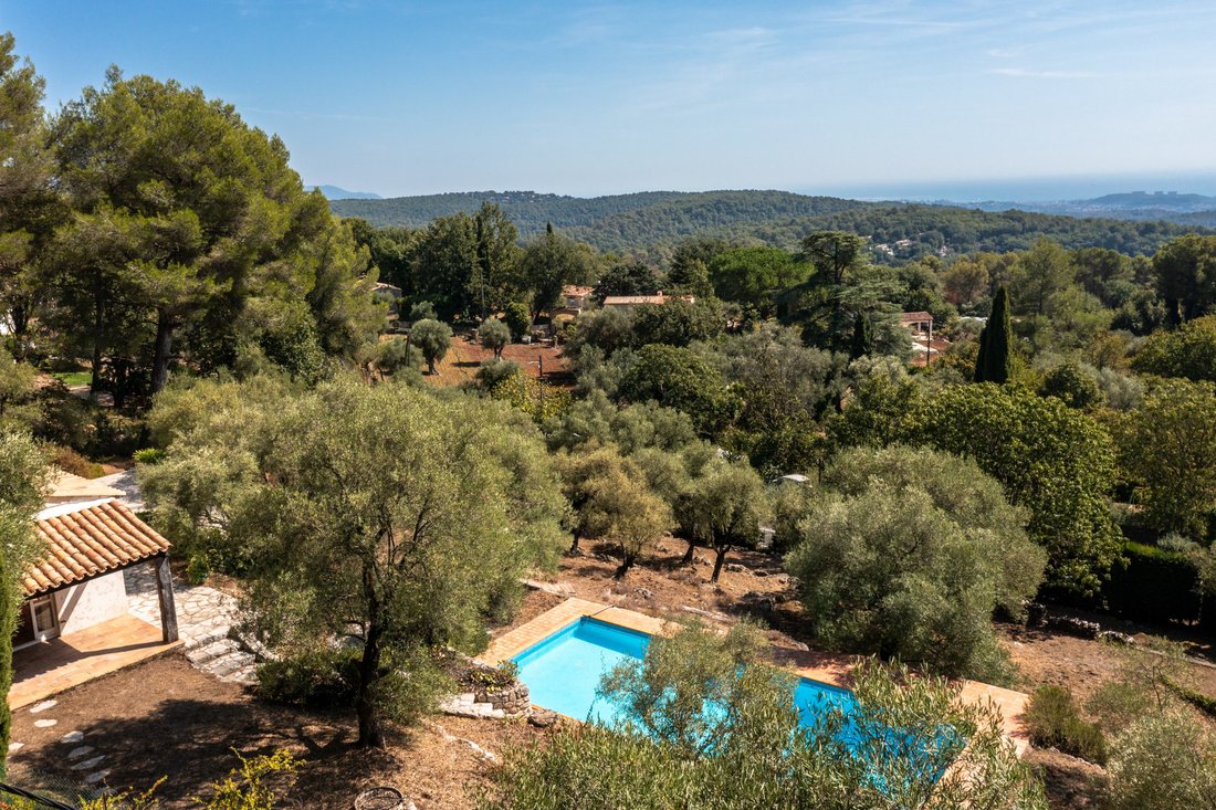 Villa in Tourrettes-sur-Loup, Provence-Alpes-Côte d'Azur, France 4 - 16015151