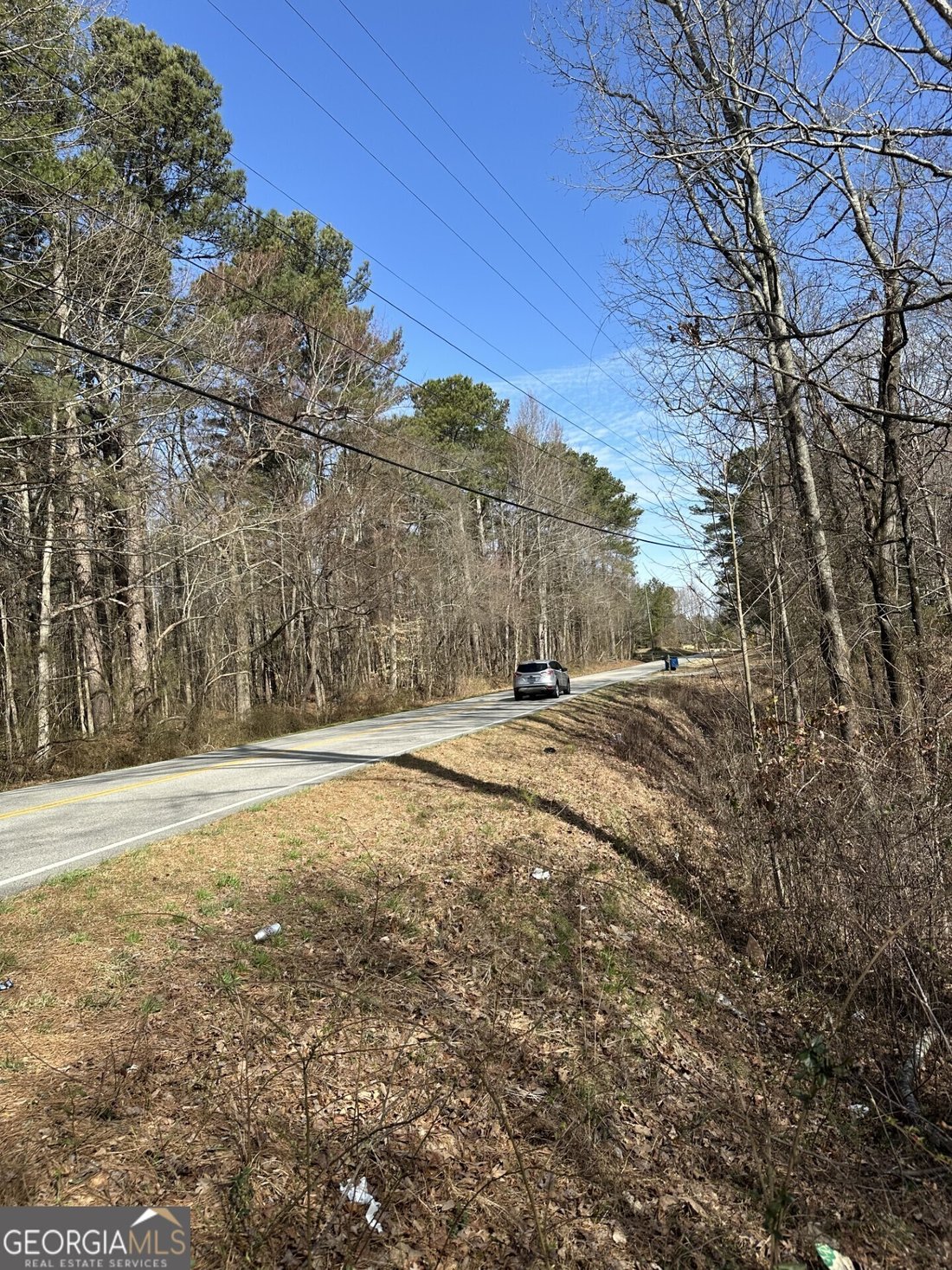 House in Flowery Branch, Georgia, United States 4 - 16243713