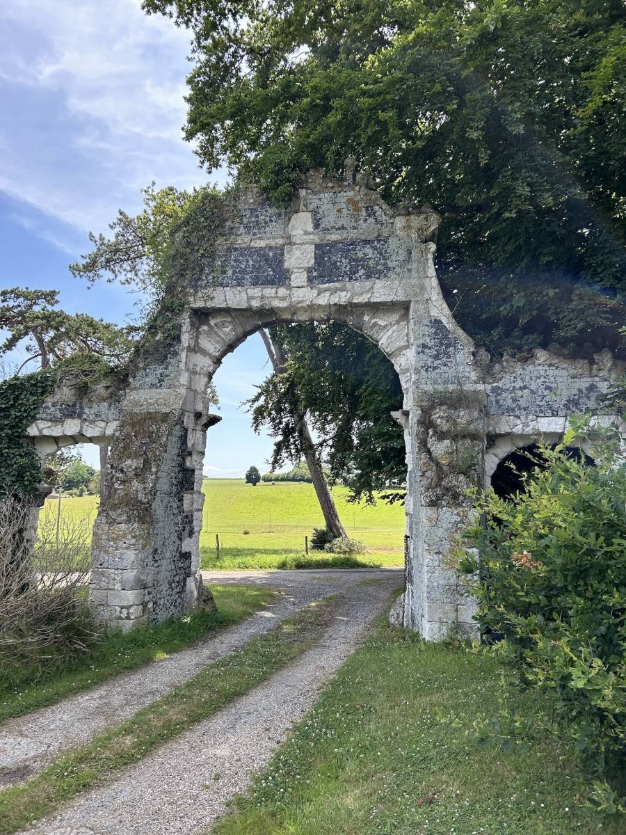 The Orangery of Light: A Castle’s Whisper in La Rochelle’s Golden Air