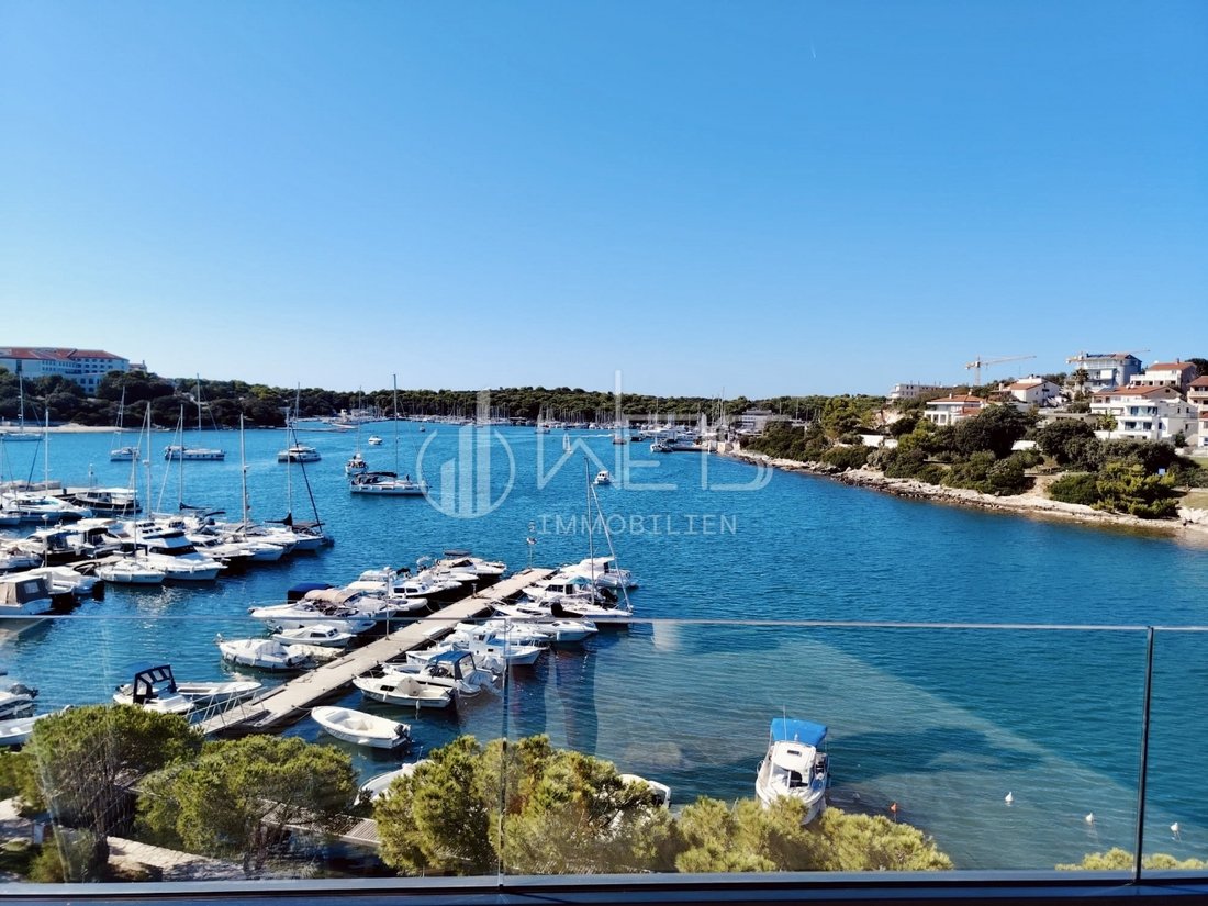 Apartment in Pjescana Uvala, Istria County, Croatia 1 - 16253407